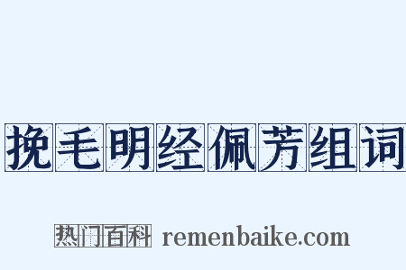 挽毛明经佩芳组词是什么意思的图片